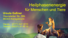 Heilphasenenergie für Tiere