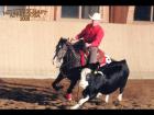 Magi Kiss- European Champion Multiple World Show Qualifier