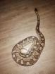 Königsphyton Butter/lesser platinum