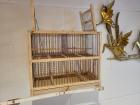 Vogelfalle Vogelkäfig Zuchtbox für Stieglitz Kanarien Gimpel