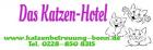 Neu für Bonn Katzenhotel ihre Katzenpension Katzenbetreuung
