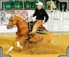 Top Reining QH-Hengst steht zum Verkauf