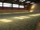 Stallgemeinschaft in Castrop-Rauxel hat noch Boxen frei