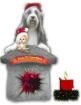 Hochzeit bei den Bearded Collies of Ram and Taurus