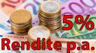 IT GmbH 8 Jahre alt bietet 5 Rendite bei 12 Monaten Laufzeit