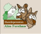 Ferien für Ihren Hund