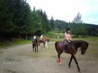 Suche Reitbeteiligung im Süden von München