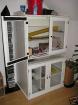 3 Rattenweibchen evtl. mit Riesenschrank