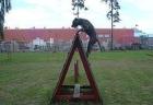 Dogo Canario Welpen aus Leistungslinie - gesund robust