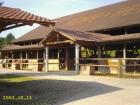 Freie Boxen-Paddocks-Weide