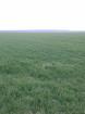 Ukraine Bauernhöfe ab 100 ha Oblast Zhytomir Region Nowograd Wolynski