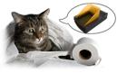 Katzenklo Katzenklo mit eigener Wasserspülung ist die Katze froh