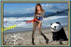 ZENDAYA mit Panda. Star Souvenir. Geschenkidee. Zimmerdeko. Blickfang. Unikat W