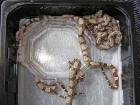 Boa Heterozygot 66 für Albino abzugeben