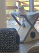 4 Kleine BKH-Kitten suchen ab dem 22. 06. 2023 ein liebevolles Zuhause