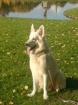 Suche ein neues Zuhause