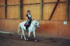 Bildhübsche verlässliche Deutsche Reitponystute zu verkaufen