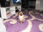 SIAM DECKKATER