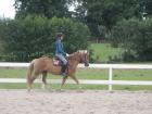 Junges Angagiertes Mädchen sucht RB