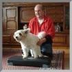 Mobile Hundeschule Problemhunde Hundephysiotherapie Fotos