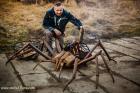 Feuerschale Spinne grill4you NUR BEI UNS