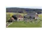 Ferienwohnung auf Biohof mit schönem Ambiente super Lage für Familien- Wander