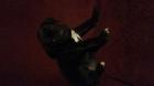 Doggenmix Welpen suchen neuen Liebevollen Besitzer