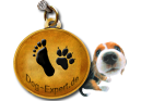 Mobile Hundeschule Verhaltenstherapie Hundepension