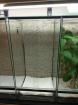 Terrarien