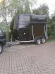 Pferdeanhänger Böckmann Vollpoly BIG MASTER EZL 9/90 TÜV neu 4/16