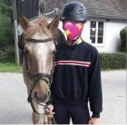 Suche Reitbeteiligung Reiterin sucht Pferd