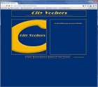 Customized Webseiten ab 99 00 Euro