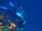 SSI Open Water Diver - kompletter Tauchkurs keine Zusatzkosten