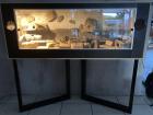 Terrarium mit drei Leopardgeckos abzugeben