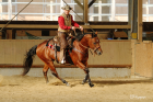 Westerntraining Beritt