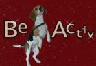 Beagleactiv. de Das BeagleForum