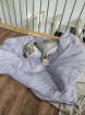Dringend neues Zuhause gesucht Notfall