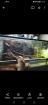 Bartagame mit oder ohne Terrarium