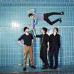 The Gecko - Check us out