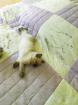 Neva Masquarade Kitten