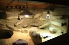 Terarium 1mX1mX0 62m