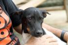 David - ein lebenslustiger temperamentvoller Kerl. Aus Thailand