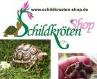 SCHILDKRÖTEN SHOP Zubehör Versand