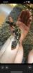 Leopardgeckos zur Abgabe