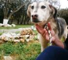 Lola - weggesperrt vernachlässigt und ohne jede Hoffnung