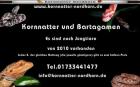 Nachzuchten von Kornnatter und Bartagamen 2022