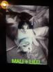 2 kleine amerikanische Shorthair Mix Katzen 16Wo weibl.