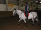 Deutsches Reitpony Schimmel 1 50m