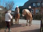 Max ist ein Haflinger- Mix 13 Jahre und kerngesund.