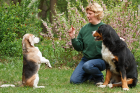 Hundepension und Hundeschule Georgia Greuter